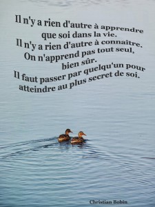 Citation